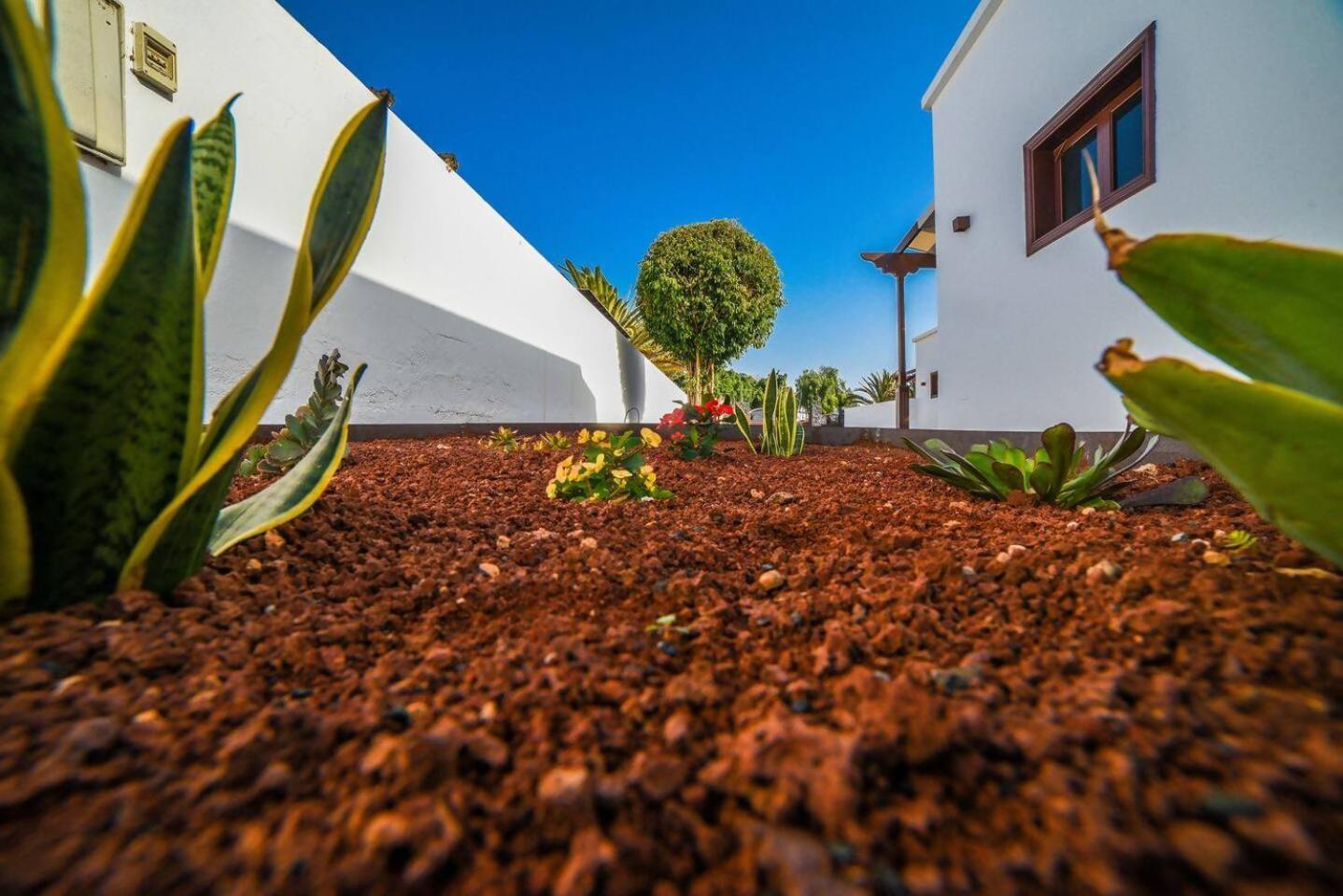 Agradable Y Familiar Con Piscina Casa Inima Villa Playa Blanca  Eksteriør bilde